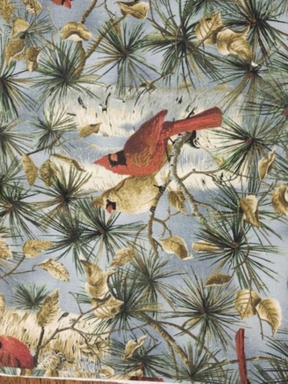 Timeless Treasures Spring Song Cardinal on Birch Tree Fabric